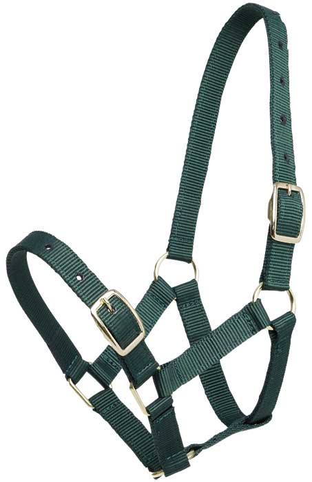 Gymkhana Headcollar Hunter Green Gymkhana Headcollar Foal