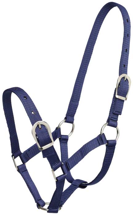 Gymkhana Headcollar Navy Gymkhana Headcollar Small Pony