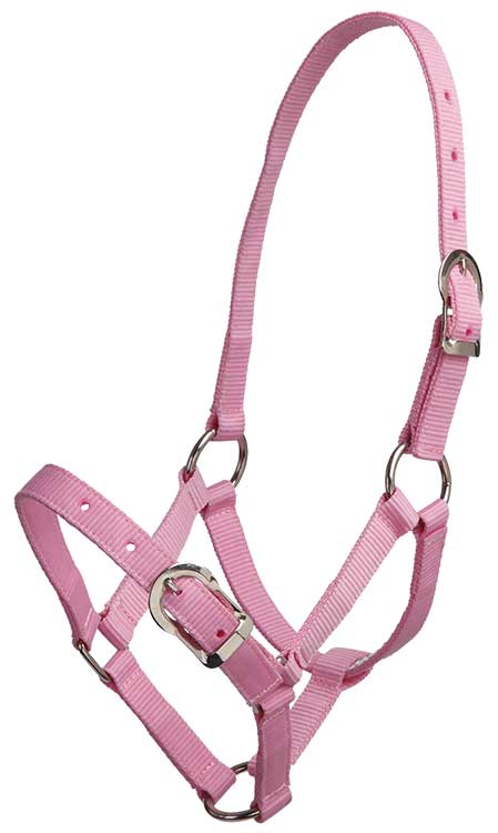 Gymkhana Headcollar Pink Gymkhana Headcollar Small Pony