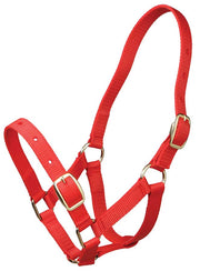 Gymkhana Headcollar Red Gymkhana Headcollar Foal
