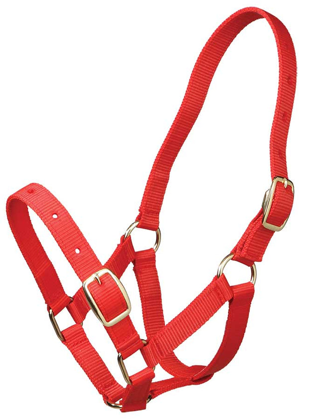 Gymkhana Headcollar Red Gymkhana Headcollar Foal