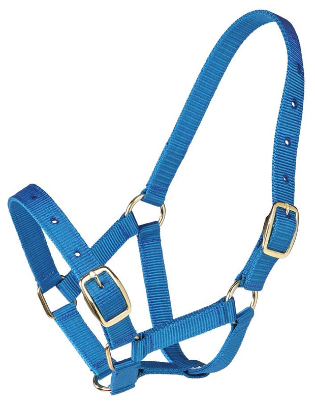 Gymkhana Headcollar Royal Blue Gymkhana Headcollar Foal