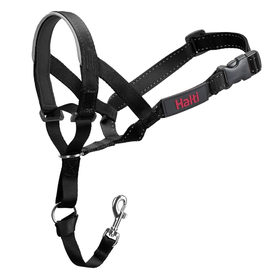 Halti Headcollar Dog Collar from Halti Riding Harness Stuff