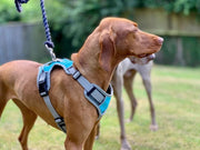 Henry Wag Henry Wag Dog Travel Harness