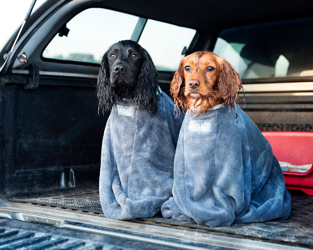Henry Wag Microfibre Dog Drying Bag from Henry Wag Riding Harness Stuff