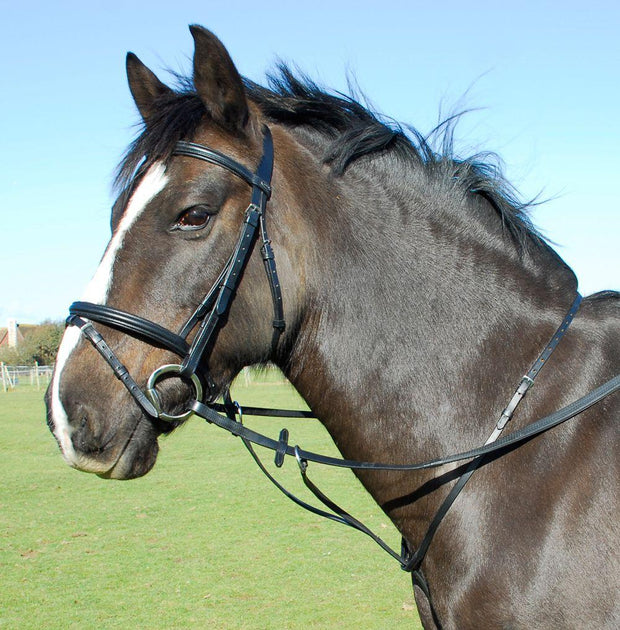 Heritage Martingale Cob / Black Heritage English Leather Running Martingale
