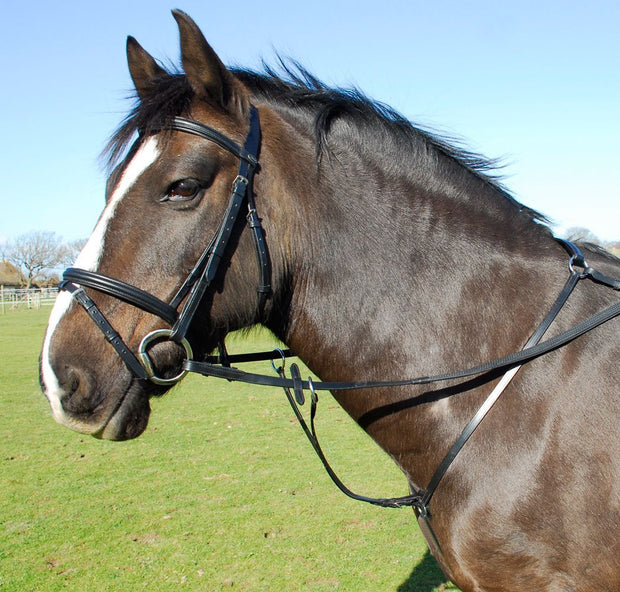 Heritage Breastplate Cob / Havana Heritage English Leather Breastplate CLEARANCE Cob Havana