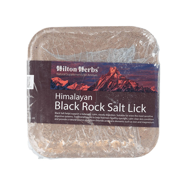 Hilton Herbs Horse Treats Hilton Herbs Himalayan Black Rock Salt Lick