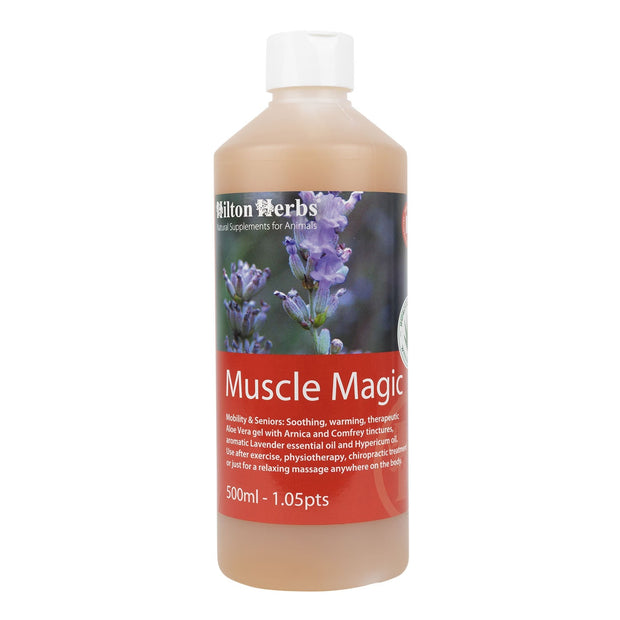 Hilton Herbs Hilton Herbs Muscle Magic