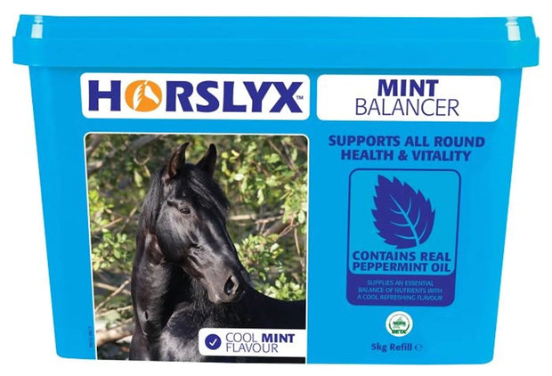 Horslyx Horse Licks Horslyx Mint Balancer Lick 5kg