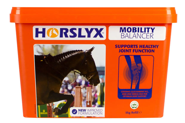 Horslyx Horse Licks Horslyx Mobility Balancer Lick 5kg