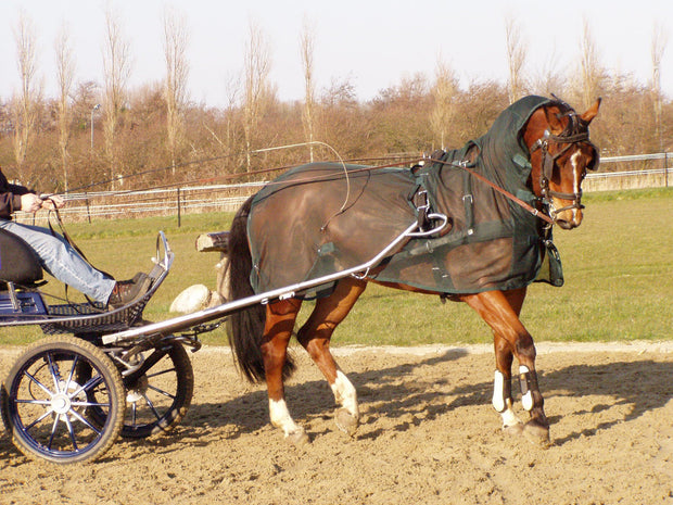 Ideal Fly Rug 125cm / Green Ideal Anti-Fly Exercise Driving Rug Full Neck