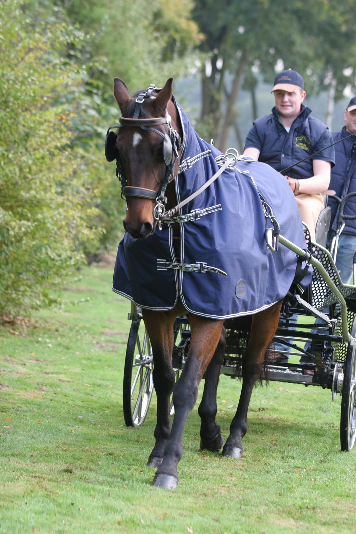 Ideal Water Resistant Rug Full Neck Exercise Driving Rug from Ideal ...