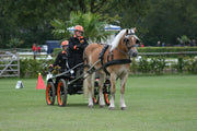 Ideal Driving Harness Cob / Black Ideal Leather Marathon Harness