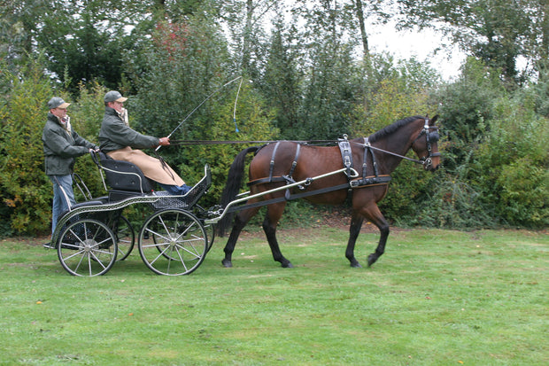 Ideal Driving Harness Cob / Black/London Ideal Leather Marathon Harness