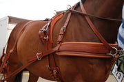 Ideal Driving Harness Cob / Chestnut Ideal Leathertech Combination Harness