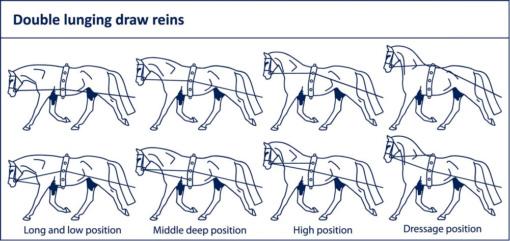 Double Lunging Line Long Reins From Ideal Riding Harness Stuff double-lunging-line-long-reins-from-ideal-riding-harness-stuff