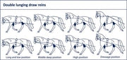 Ideal Double lunging line Long Reins