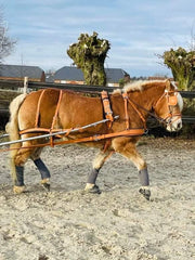 Ideal Driving Harness Ideal EuroTech Combination Harness