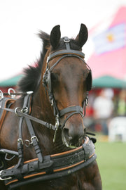 Ideal Driving Harness Ideal Leather Marathon Harness