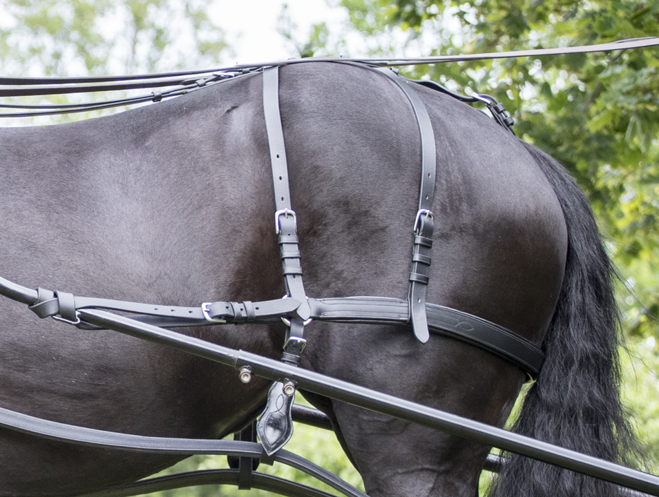 Driving Harness Breeching Riding & Harness Stuff