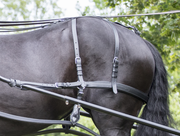 Ideal Driving Harness Ideal Luxe Breeching