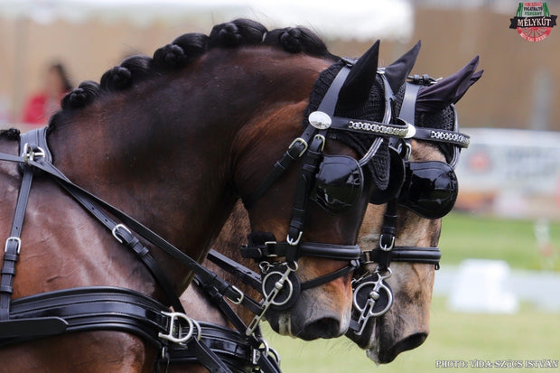 Ideal Driving Bridle Ideal Luxe Driving Bridle Patent Leather Blinkers