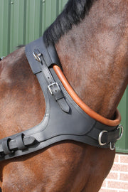 Ideal Driving Harness Ideal Luxe French Collar (Brolla)