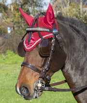 Ideal Driving Bridle Ideal Luxe Leather Browband Bling Bling