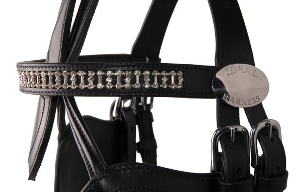Ideal Driving Bridle Ideal Luxe Leather Browband Bling Bling