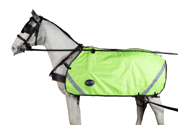 Ideal Rug Ideal Reflective Kidney Rug Exercise Driving Rug Rain Sheet