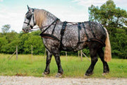 Ideal Driving Harness Ideal WebTech Combination Driving Harness Single - Bridle & Reins available seperately
