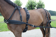Ideal Driving Harness Mini / Black Ideal WebTech Combination Driving Harness Single - Bridle & Reins available seperately