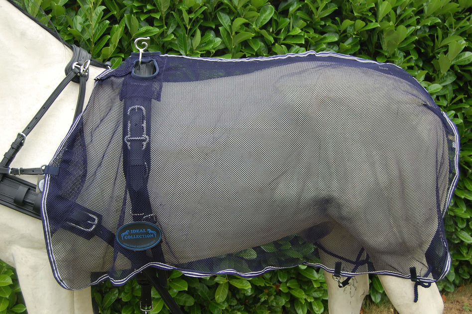 Ideal Kidney Rug Anti-Fly Exercise Driving Rug from Ideal – Riding ...