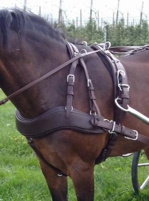 Ideal Driving Harness Shetland / Brown Ideal Freestyle Classic Breastplate EuroTech