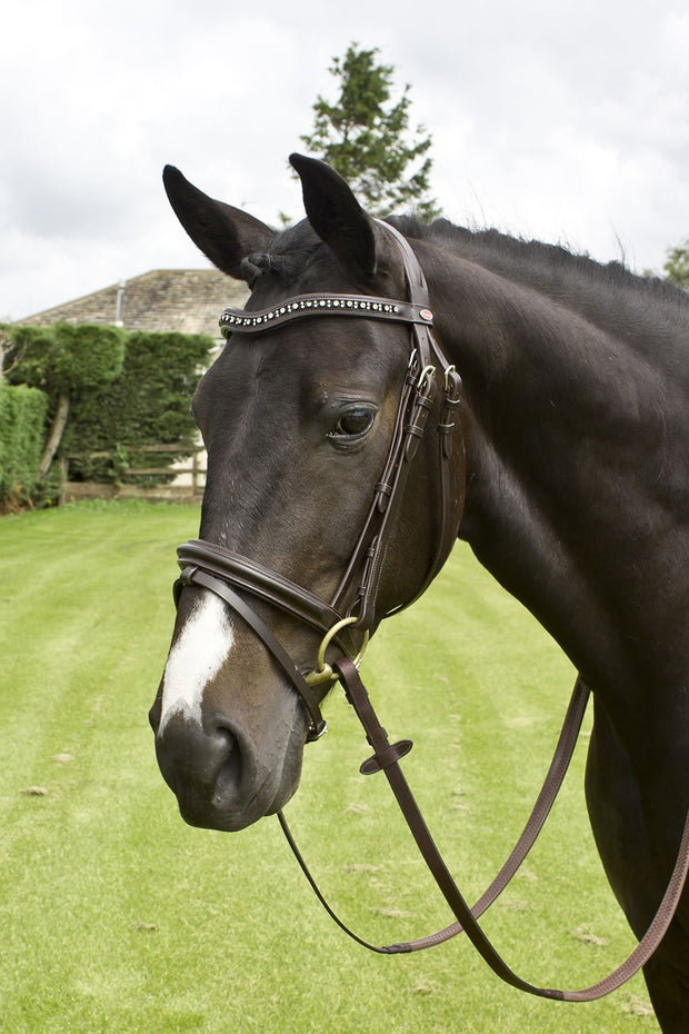 John Whitaker Bridle Pony / Black Whitaker Lynton Flash Bridle c/w Spare Browband