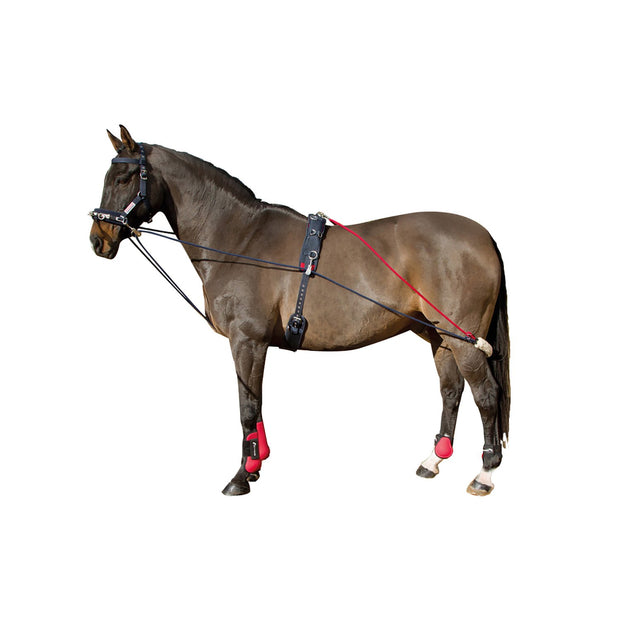 John Whitaker Whitaker Training System