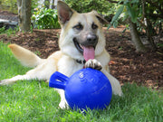Jolly Pets Dog Toy Blue Jolly Pets Tug-N-Toss 4.5"