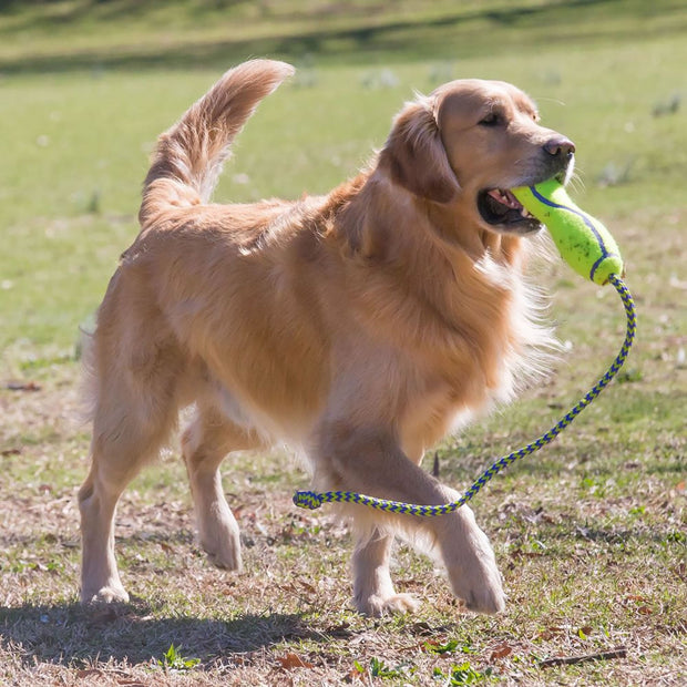 Kong Dog Toy Large Kong Airdog Fetch Stick C/W Rope