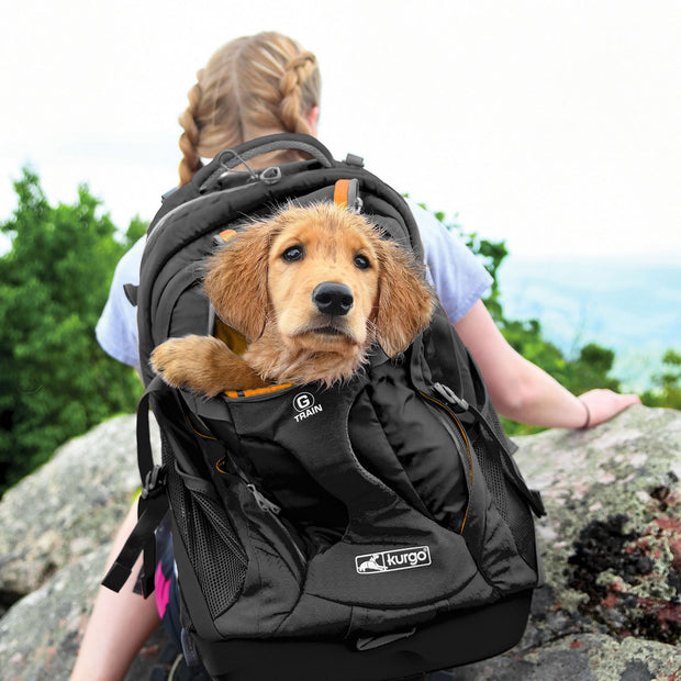 Kurgo Black Kurgo G-Train K9 Pack Black