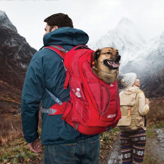 Kurgo Black Kurgo G-Train K9 Pack Black