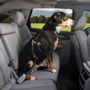 Kurgo Blue Kurgo Direct To Seatbelt Swivel Tether Blue for Dog Harness