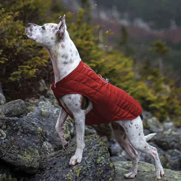 Kurgo Dog Coat Chili Red/Charcoal / XSmall Kurgo Loft Jacket Dog Coat XS CLEARANCE