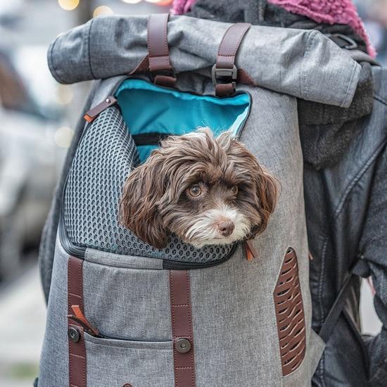Kurgo Heather Grey Kurgo K9 Rucksack