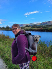 Kurgo Heather Grey Kurgo K9 Rucksack