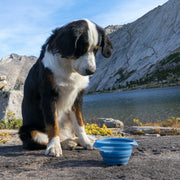 Kurgo Kurgo Collapse-A-Bowl Blue