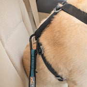 Kurgo Kurgo Direct To Seatbelt Swivel Tether Blue for Dog Harness