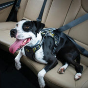 Kurgo Kurgo Impact Seatbelt Dog Harness Black