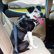 Kurgo Kurgo Impact Seatbelt Dog Harness Black