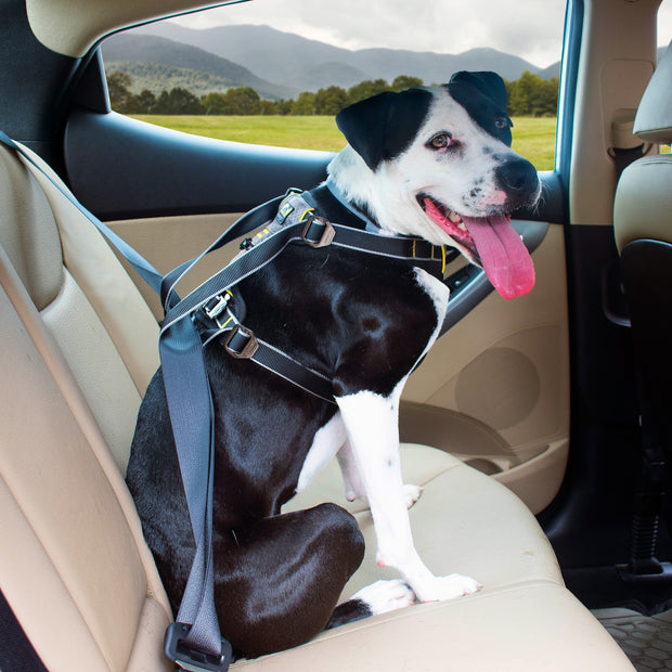 Kurgo Kurgo Impact Seatbelt Dog Harness Black